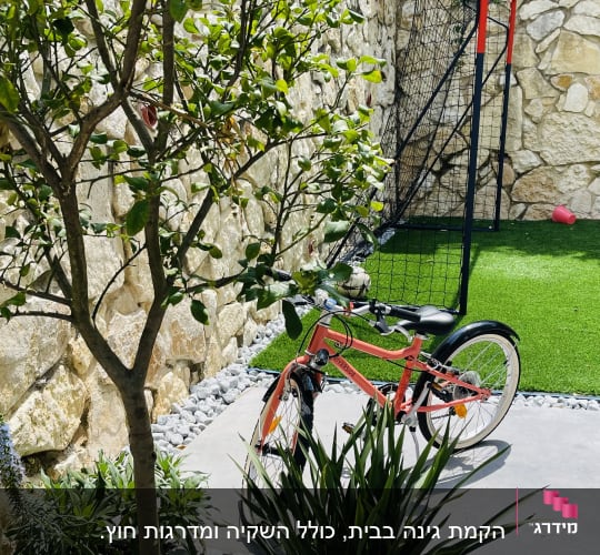 עץ קטן מוקף באבנים וצמחים ירוקים בגינה